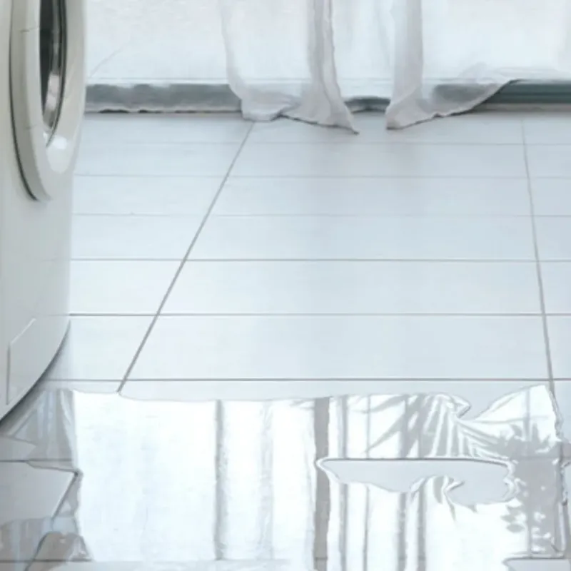 Appliance Leak Cleanup in Darlington, SC